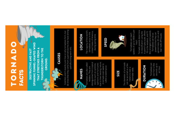 Tsunami Infographic Editable Template: Graphics Review